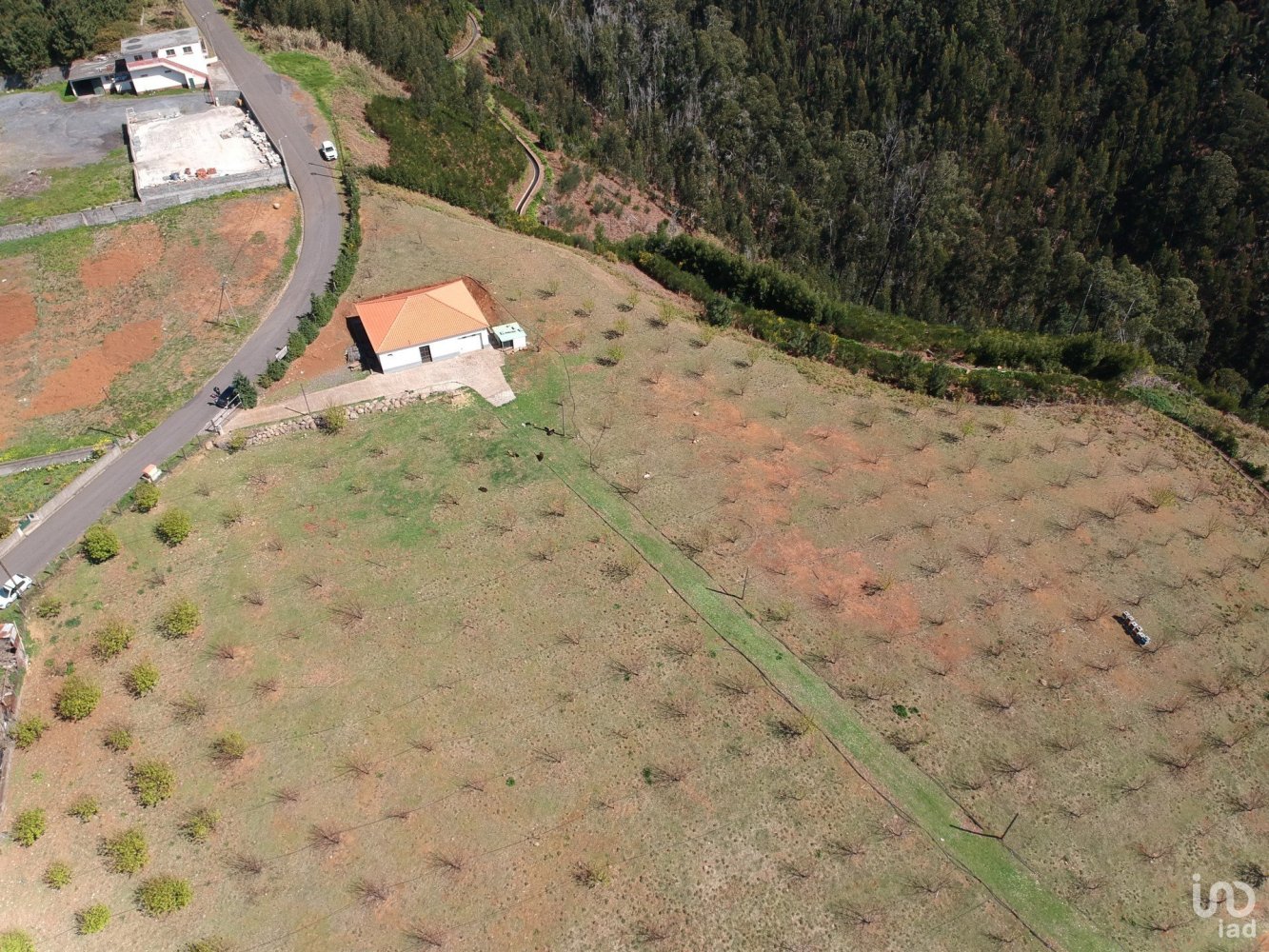  Land in Calheta, Portugal No. 109556