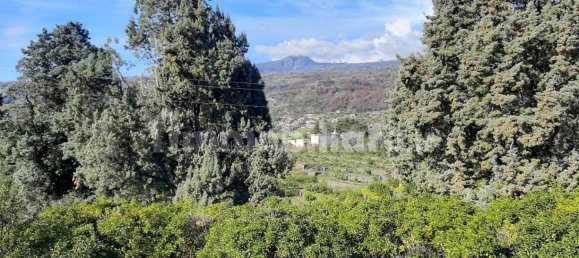 1 bedroom House in Giarre, Italy No. 45589 10