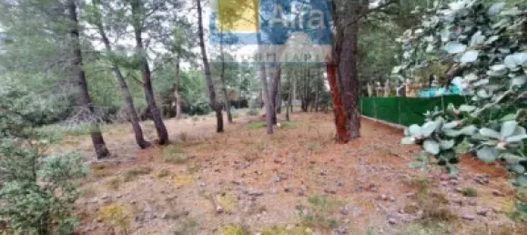 2532m² Land in Marugan, Spain No. 73812 29