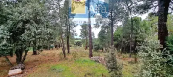 2532m² Land in Marugan, Spain No. 73812 2