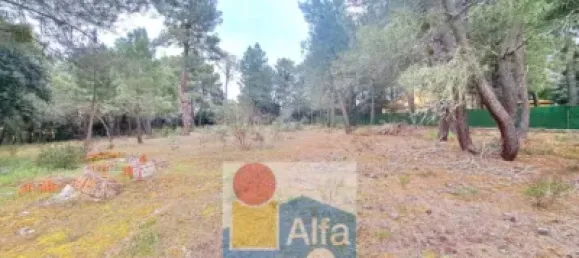 2532m² Land in Marugan, Spain No. 73812 27