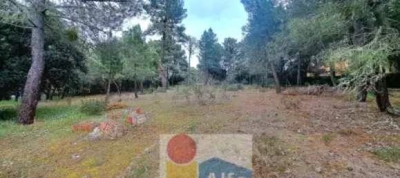 2532m² Land in Marugan, Spain No. 73812 15