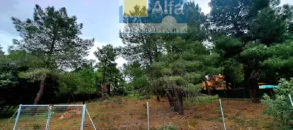 2532m² Land in Marugan, Spain No. 73812 23