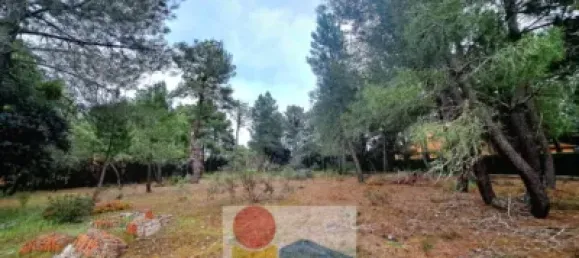 2532m² Land in Marugan, Spain No. 73812 26