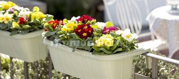 2 bedrooms Apartment in Ancona, Italy No. 340673 21