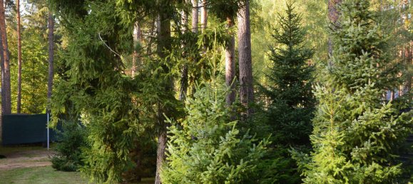 4 Schlafzimmer Stadthaus in Potsdam-Mittelmark, Germany, Nr. 217684 8