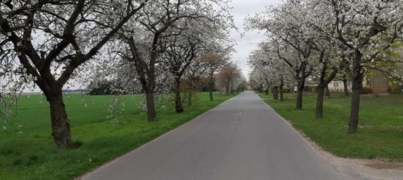  قطعة أرض في Teltow-Flaming, Germany رقم 274644 8