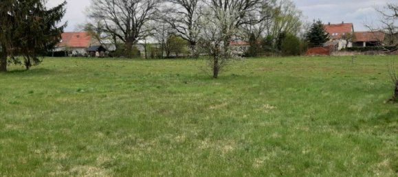  قطعة أرض في Teltow-Flaming, Germany رقم 274644 4