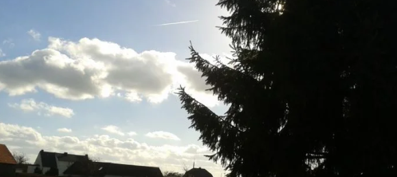  قطعة أرض في Teltow-Flaming, Germany رقم 274644 6