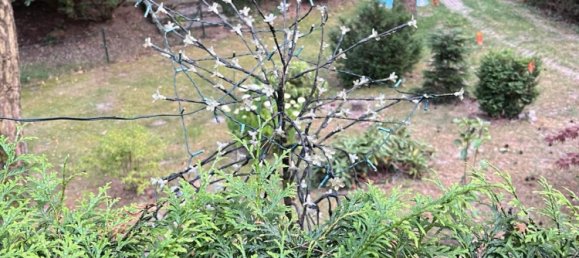  Land in Leipzig, Germany No. 227427 4