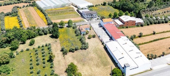 4 غرف نوم منزل في Lousa, Portugal رقم 181913 33