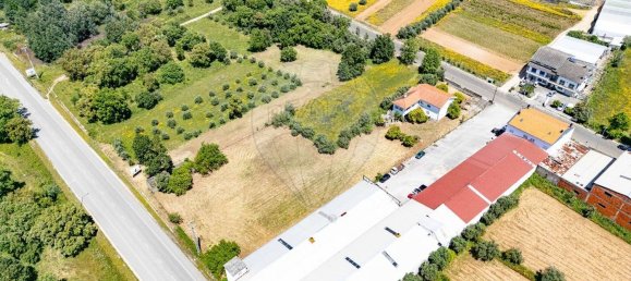 4 غرف نوم منزل في Lousa, Portugal رقم 181913 32