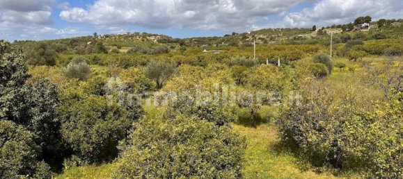 Terreno em Noto, Italy 25000 m² N.º 63392 39