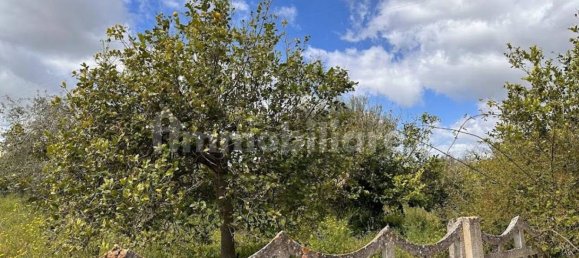 Terreno em Noto, Italy 25000 m² N.º 63392 3