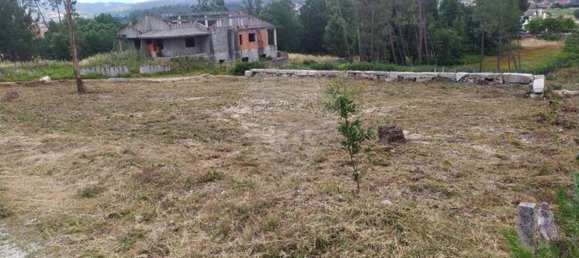  Land in Mortagua, Portugal No. 44174 4