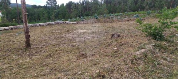  Land in Mortagua, Portugal No. 44174 2