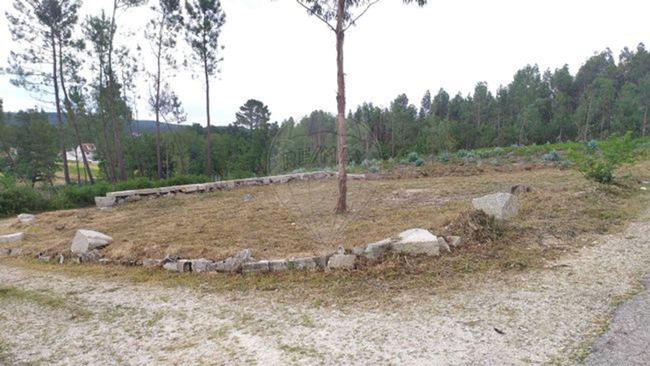  Land in Mortagua, Portugal No. 44174