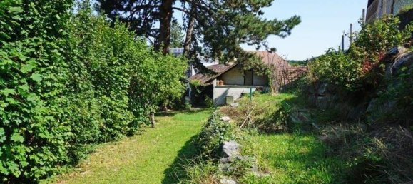 Casa de 8 habitaciónes en Maria Anzbach, Austria No. 54352 9