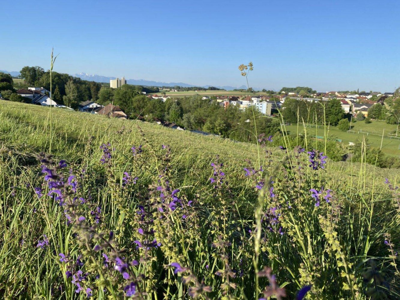 Terreno en St. Marien, Austria 736 m² No. 161516