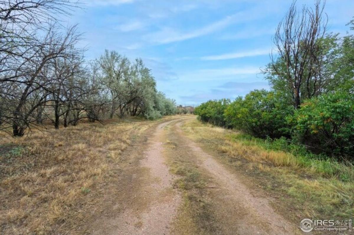 Casa T3 em Wellington, USA N.º 381326