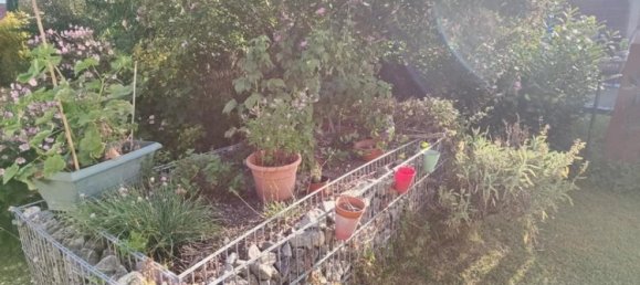 5غرفة منزل في Straubing-Bogen, Germany رقم 346786 4