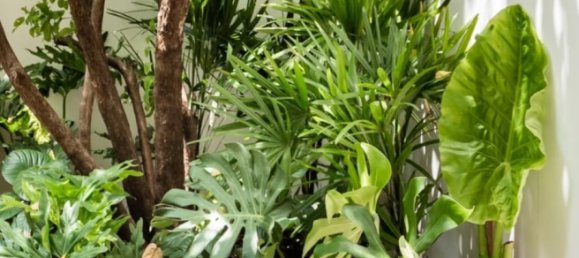 4 Schlafzimmer Bungalow in Bangkok, Thailand, Nr. 3542 4