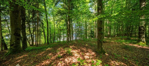 Terreno en Velden am Worther See, Austria 17 m² No. 164230 5