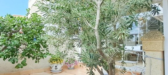 2 Schlafzimmer Villa in Torrevieja, Spain, Nr. 178160 32