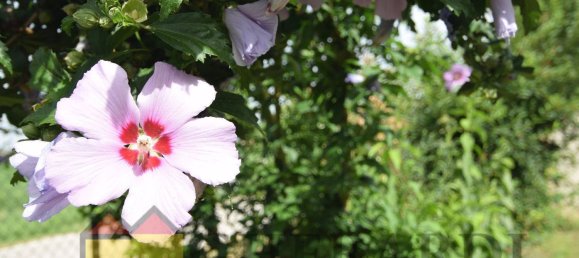 10-salle Villa à Argenta, Italy No. 132583 20