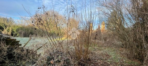 6 rooms House in Cornale e Bastida, Italy No. 158003 15