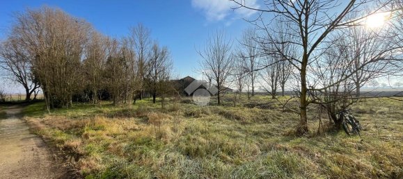 6 rooms House in Cornale e Bastida, Italy No. 158003 23