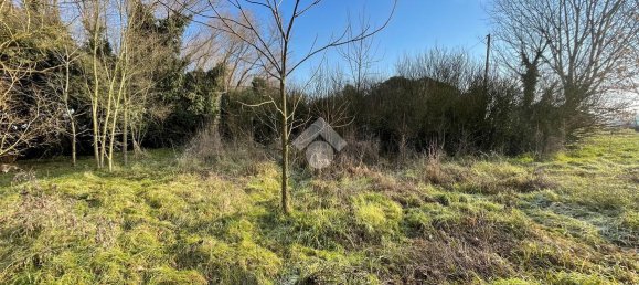 6 rooms House in Cornale e Bastida, Italy No. 158003 20