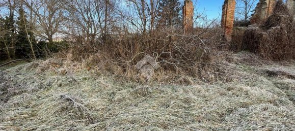 6 rooms House in Cornale e Bastida, Italy No. 158003 10