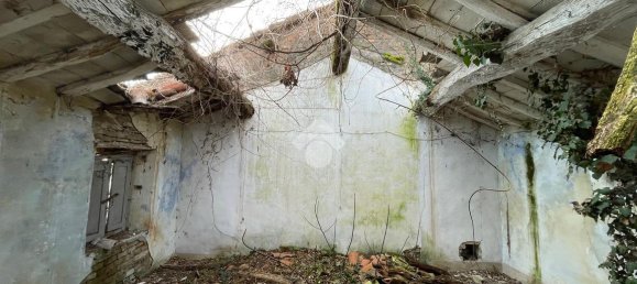 6 rooms House in Cornale e Bastida, Italy No. 158003 41