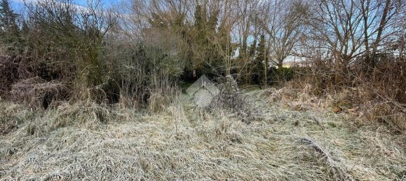 6 rooms House in Cornale e Bastida, Italy No. 158003 9