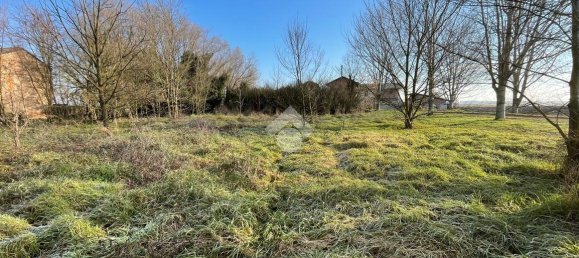 6 rooms House in Cornale e Bastida, Italy No. 158003 21