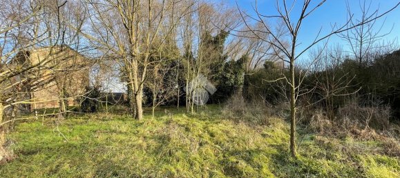 6 rooms House in Cornale e Bastida, Italy No. 158003 19