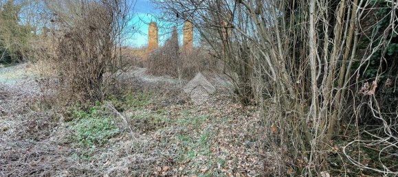 6 rooms House in Cornale e Bastida, Italy No. 158003 12