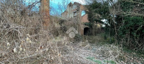 6 rooms House in Cornale e Bastida, Italy No. 158003 11