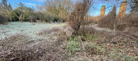 6 rooms House in Cornale e Bastida, Italy No. 158003 14