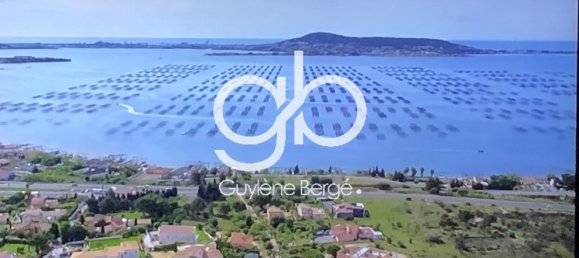 6 غرف نوم فيلا في Occitanie, France رقم 298282 7