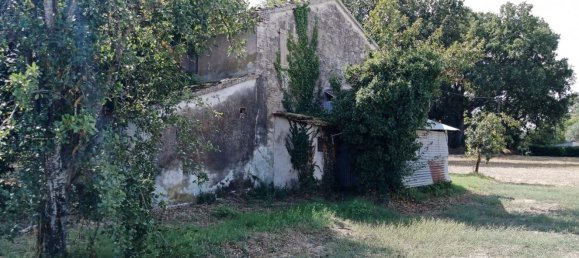 Casa de 5 dormitorios en Corinaldo, Italy No. 345733 7