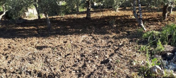 4 rooms Villa in San Giuseppe Jato, Italy No. 256048 11