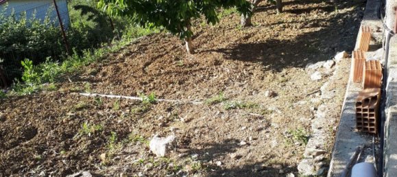 4 rooms Villa in San Giuseppe Jato, Italy No. 256048 3