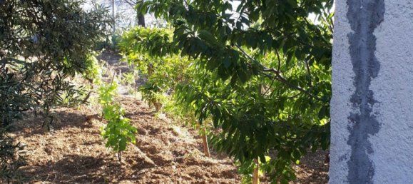 4 rooms Villa in San Giuseppe Jato, Italy No. 256048 6