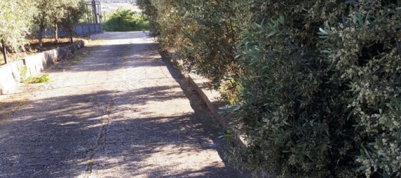 4 rooms Villa in San Giuseppe Jato, Italy No. 256048 5