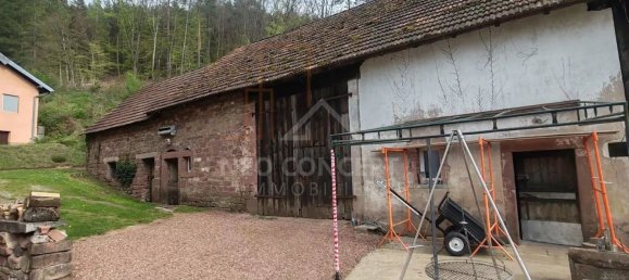 4 Schlafzimmer Haus in Sturzelbronn, France, Nr. 81526 13