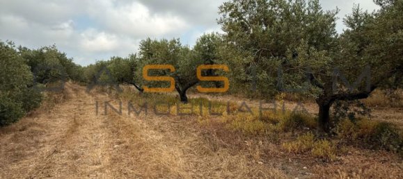 Grundstück in Mont-roig del Camp, Spain 19000m², Nr. 165638 15