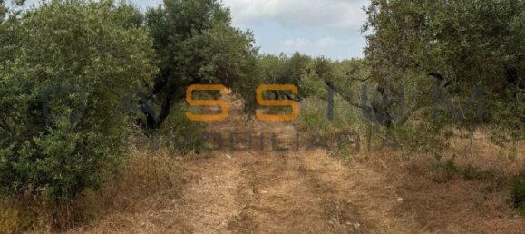 Grundstück in Mont-roig del Camp, Spain 19000m², Nr. 165638 10