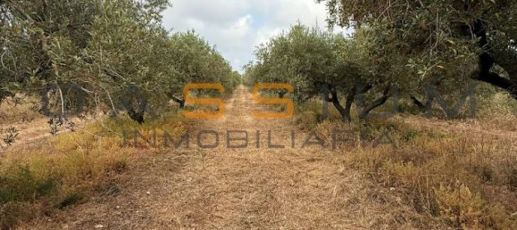 Grundstück in Mont-roig del Camp, Spain 19000m², Nr. 165638 12